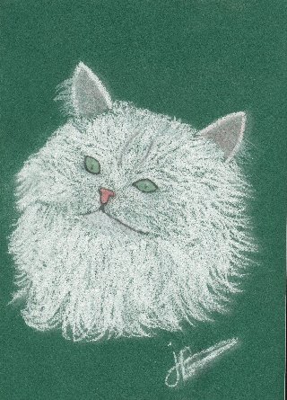 dessin6.jpg (700878 octets)